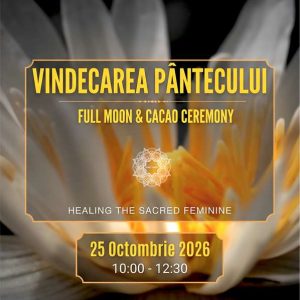 Vindecarea Pantecului
