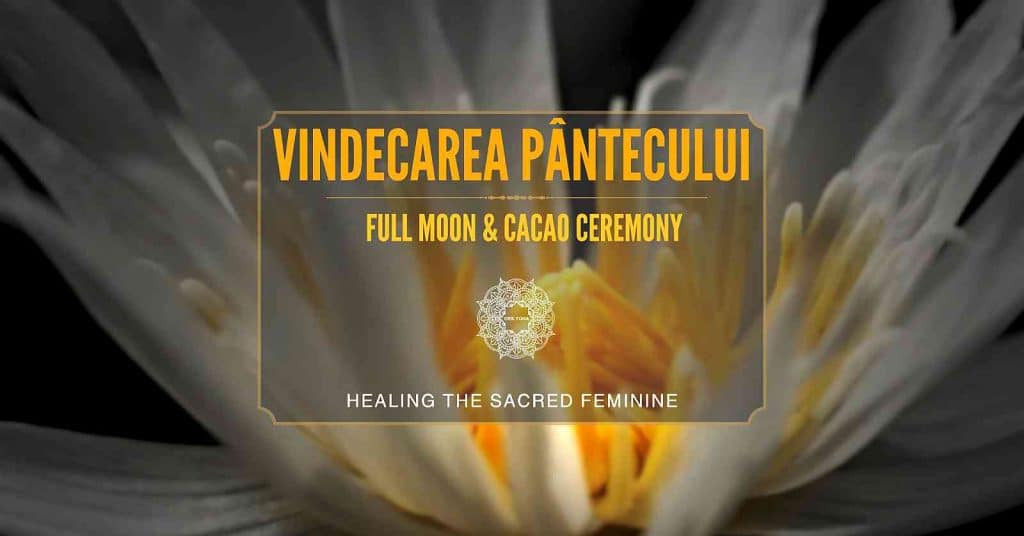 Vindecarea Pantecului & Cacao ceremony